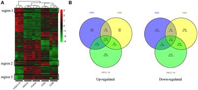 Immunomodulatory Effects and Induction of Apoptosis by Different Molecular Weight Chitosan Oligosaccharides in Head Kidney Macrophages From Blunt Snout Bream (Megalobrama amblycephala)